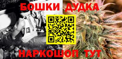 шишки Владимир