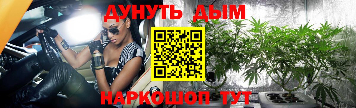 Канабис семена Железноводск